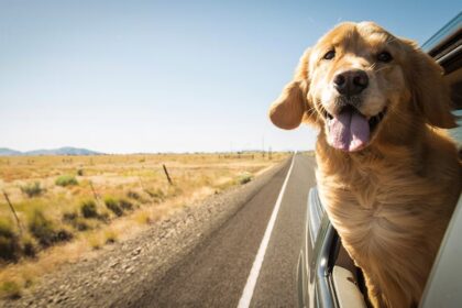 What we’ve been playing – “I’d like to shout out a fun game you can only really do on the road”